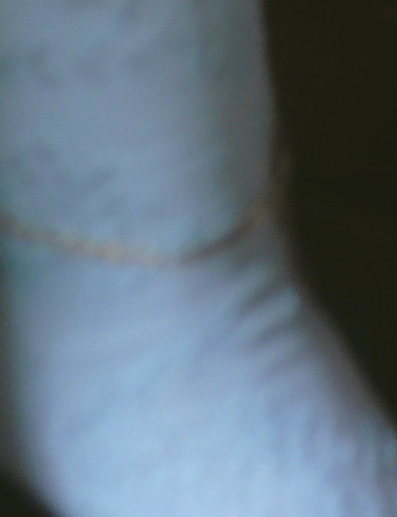 Bracelet de cheville La Dentelle